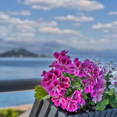 Vlado's - Beachfront & Rooftop 公寓 *